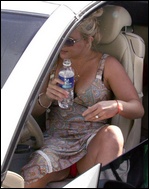 Britney Spears Nude Pictures