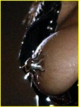 Janet Jackson Nude Pictures