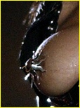 Janet Jackson Nude Pictures