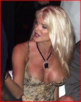 Victoria Silvstedt Nude Pictures